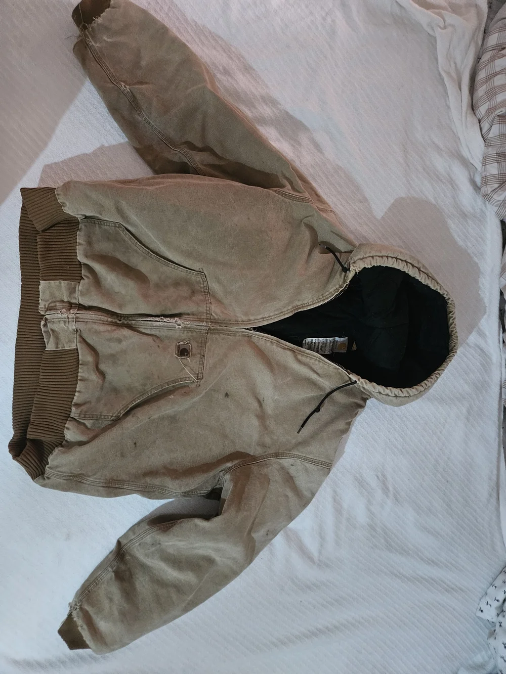 Carhartt durable hooded